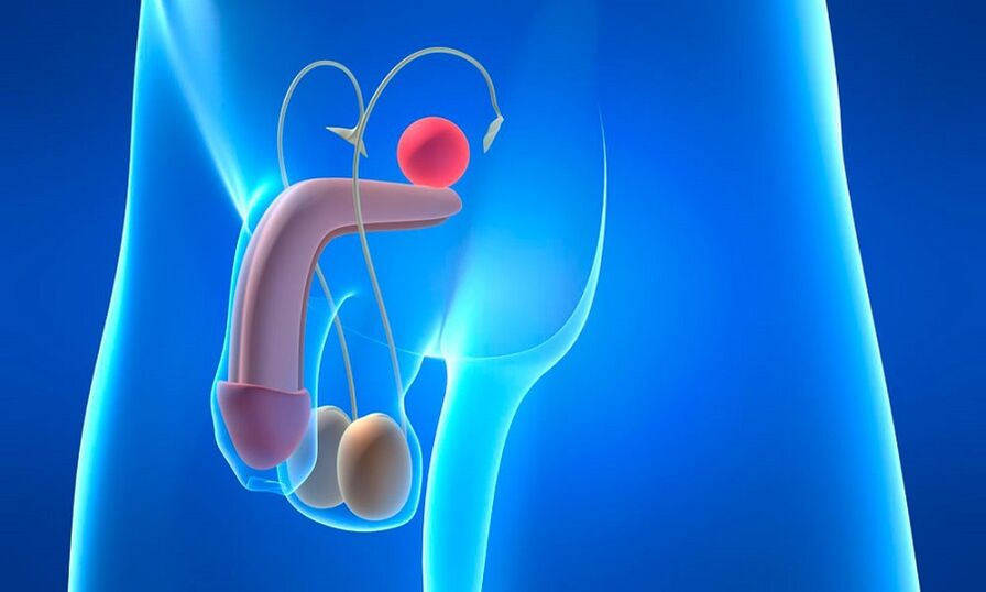 Prostatit bilan prostata shishishi
