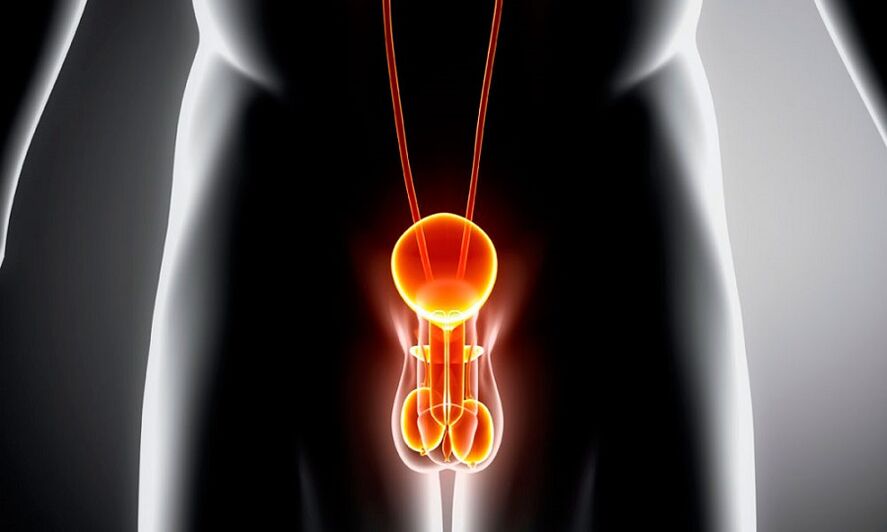 Prostatit uchun yallig'langan generink tizimi